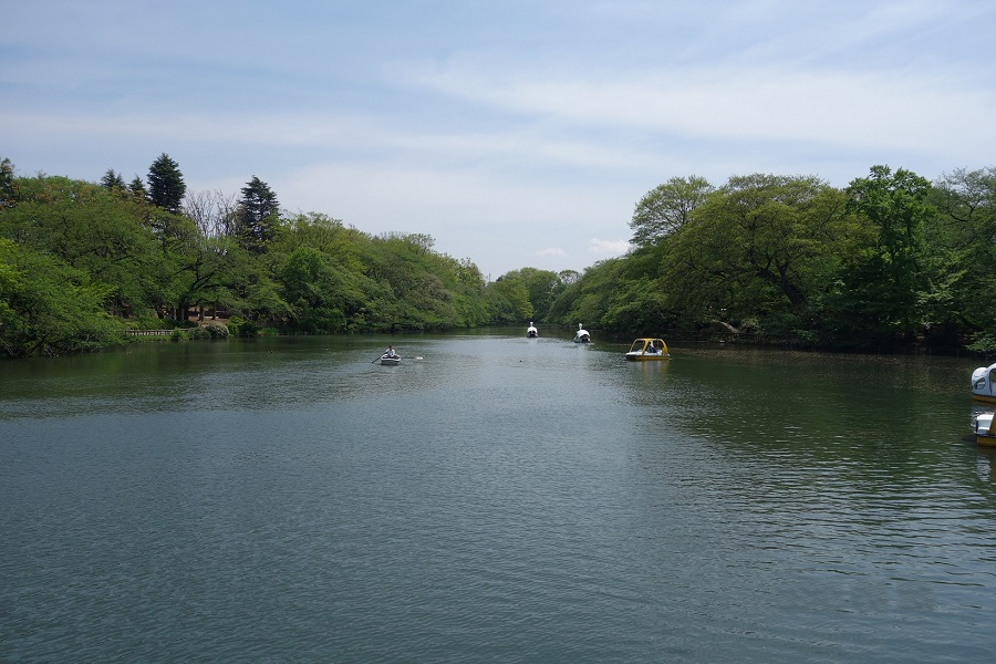 井の頭公園池