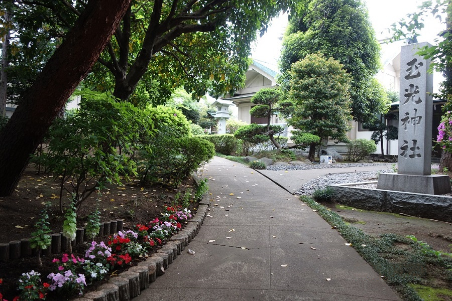 玉光神社境内