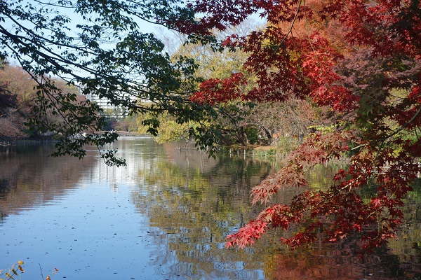 井の頭公園2017.11.17