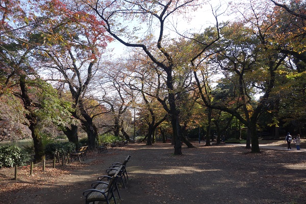 井の頭公園2017.11.17